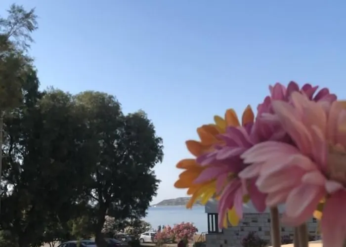 Szálloda Allegria Butik Çeşme